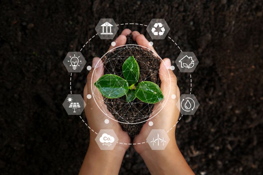 Hände mit einer Pflanze, darum herum gruppiert Symbole für die Bereiche, wo Klimaschutz ansetzen kann