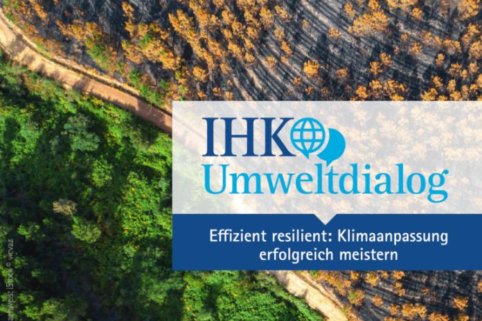 Luftbild Wald und gerodete Fläche mit Logo IHK Umweltdialog