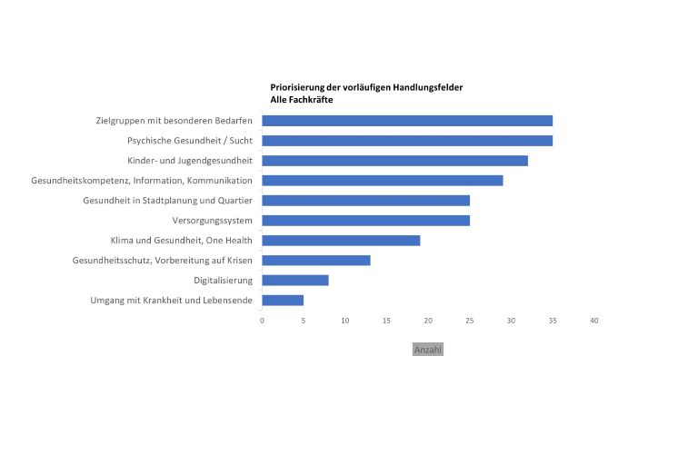 Das Bild zeigt die zehn vorläufigen Handlungsfelder, zum Beispiel Gesundheitsversorgung oder Gesundheitskompetenz, in einer Wolke.