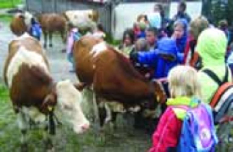 Kinder mit Kühen