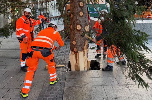 Christbaum auf dem Marienplatz