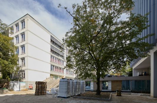 Neugestaltung Schulinnenhof - Erhaltung und Integrierung des Baumbestands