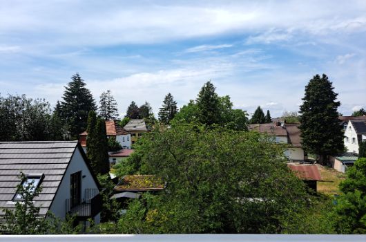Blick ins Grüne vom Balkon