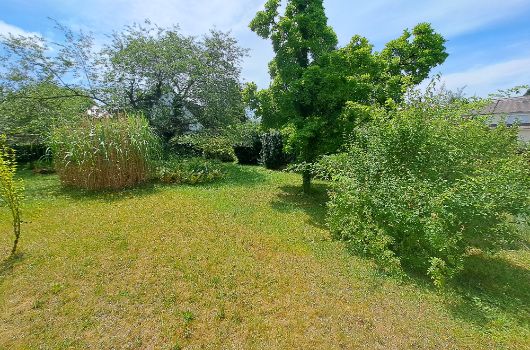 Grünanlage hinter dem Haus