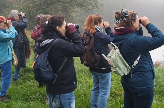 Langer Tag der StadtNatur Vogelspaziergang