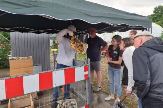 1. Sommeraktion Kräuterwanderung im Landschaftspark West, Besuch beim Imker