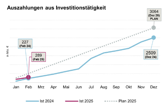 Auszahlungen aus Investitionstätigkeit