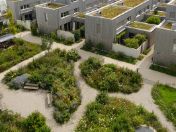 Außenanlage an der Jörg-Hube-Straße 103 bis 113