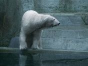 Feuerwerksverbot Tierpark 