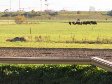 Fahrradtour Feldflur FReiham 