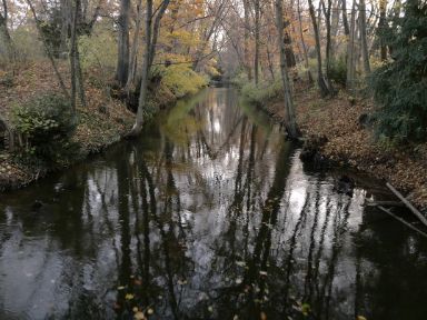 Herbststimmung mit Spiegelungen