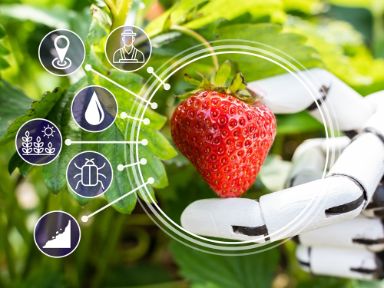 Meet the City - Ernährungssysteme mit Zukunft