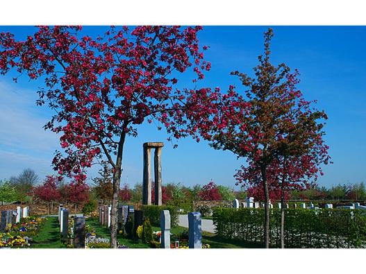 Gräber im Friedhof Riem